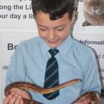 well-being in primary schools