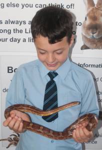 science week in primary schools