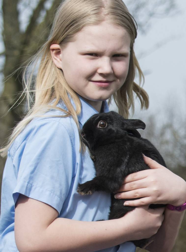 animals help well-being in primary school