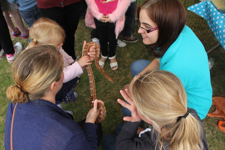 children holding corn snake at animal handling event